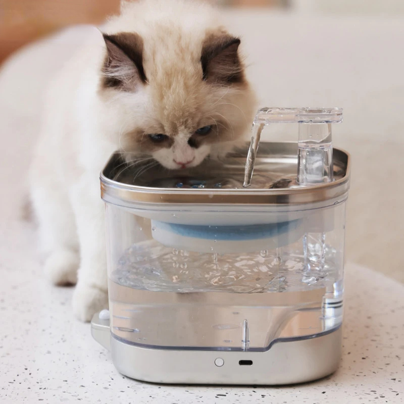 ,, - Pet Water Fountain ulasan dan harga