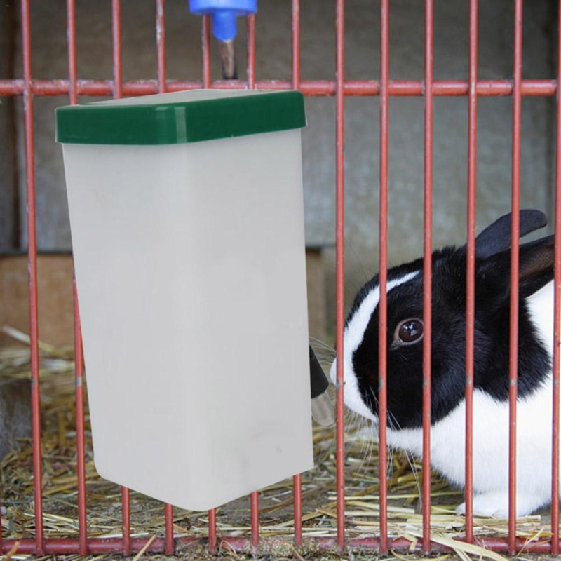 Dispenser Botol Air Minum Hewa - Pet Supplies Warehouse ulasan dan harga